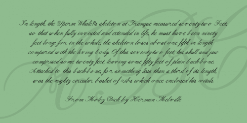 Formal Script Font