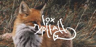 Fox Typeface