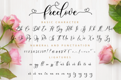 Freelove Calligraphy Font