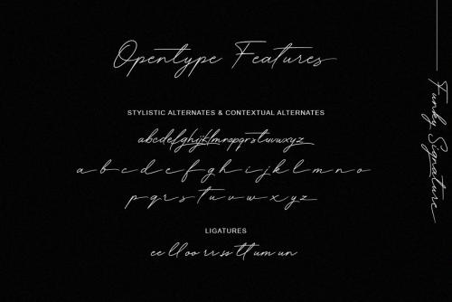 Funky Signature Font