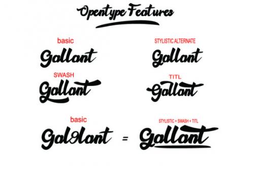Gallant Handwritten Font