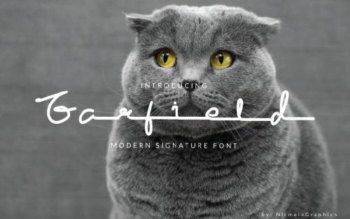 Garfield Script Font
