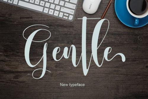 Gentle Script Font