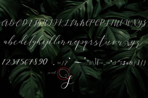 Golden Sea Calligraphy Font