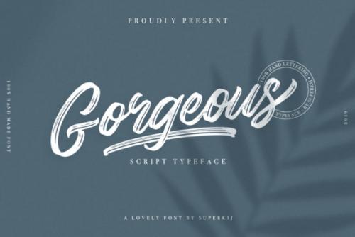 Gorgeous Script Typeface Font