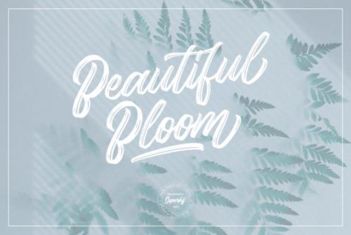 Gorgeous Script Typeface Font