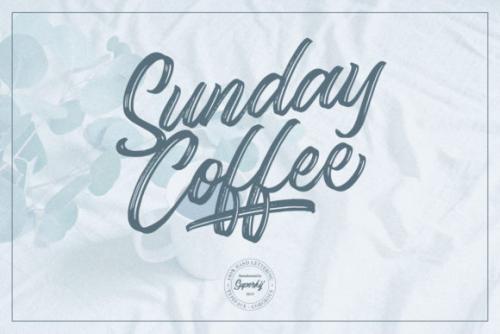 Gorgeous Script Typeface Font