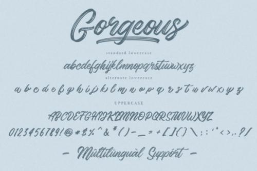 Gorgeous Script Typeface Font