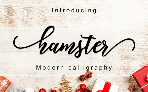 Hamster Script Font