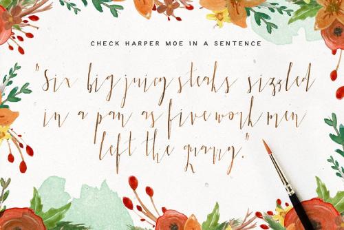 Harper Moe Script Font