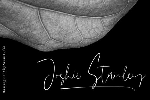 Hasting Script Font
