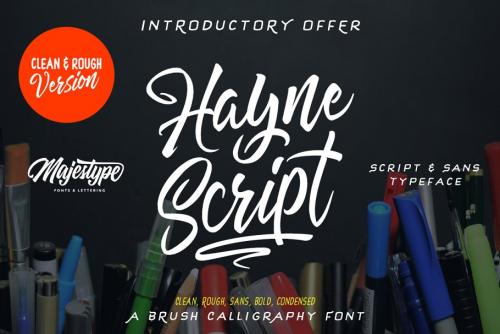 Hayne Script Clean Rough Font