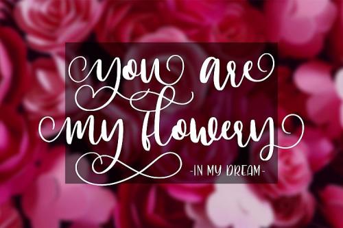 Hi Virginia Calligraphy Font