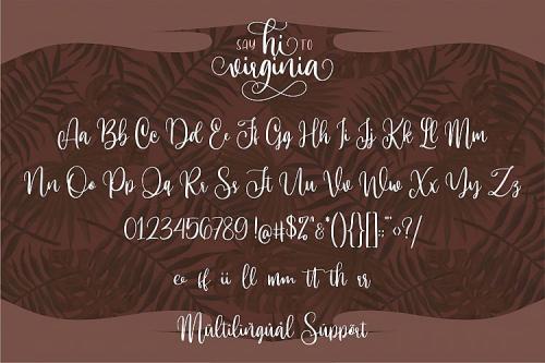Hi Virginia Calligraphy Font