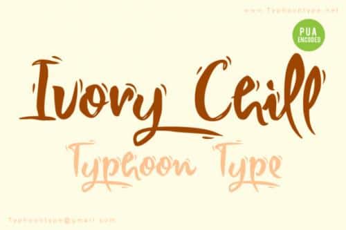 Ivory Chill Script Font