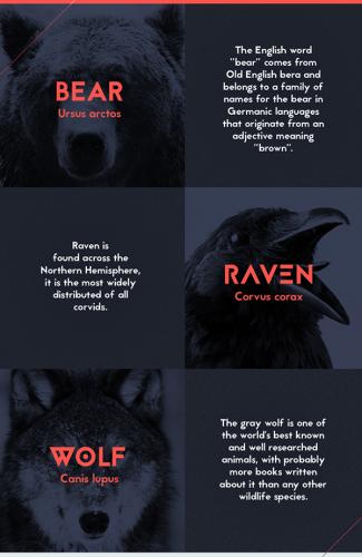 Jaapokki Typeface
