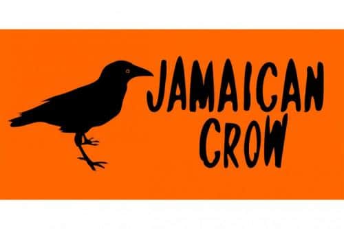 Jamaican Crow Script Font