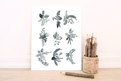 Jungle Cat Font