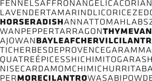 KLAVIKA FONT