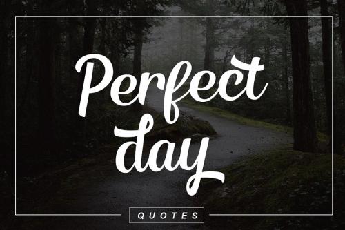 Kingsman Stylist Script Font