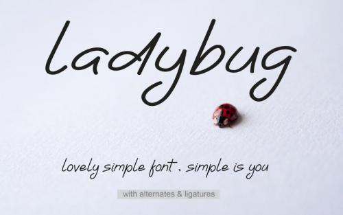 Ladybug Handwritten Font