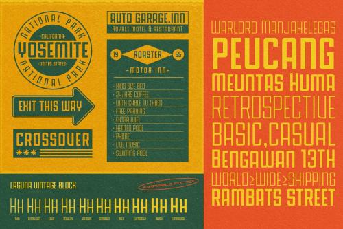 Laguna Vintage Script Font