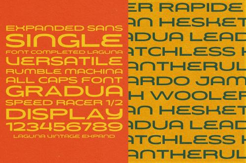 Laguna Vintage Script Font