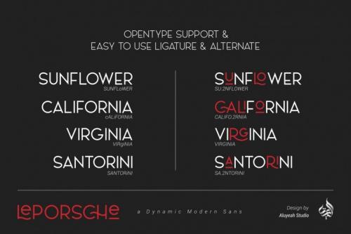 Le Porsche Sans Font