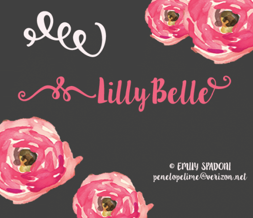 Lilly Belle Font