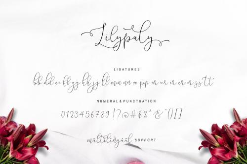 Lilypaly Handlettering Font