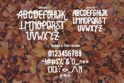 Lonsdale Typeface