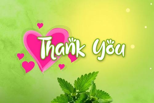 Love Mint Fun Display Font