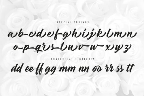 Madame Script Font