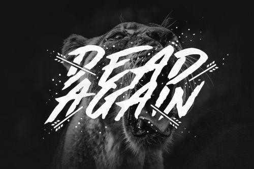 Made By Bears Brush Font
