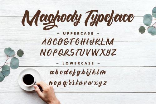 Maghody Bold Script Font