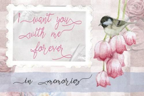 Mallows Script Font