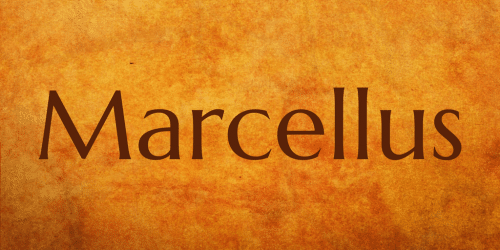 Marcellus Font