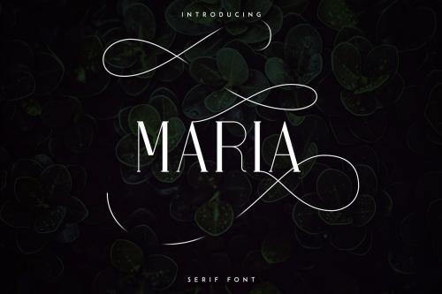 Maria Serif Font
