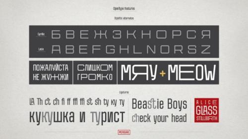 Measure Sans Font