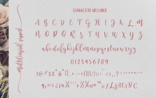 Melloner Script Font