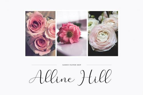 Merlin Script Font