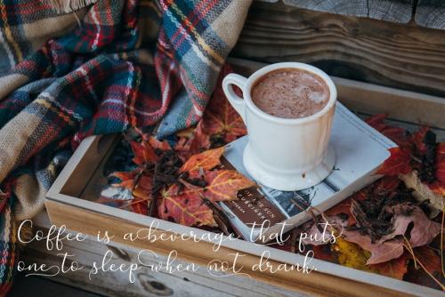 Merlin Script Font
