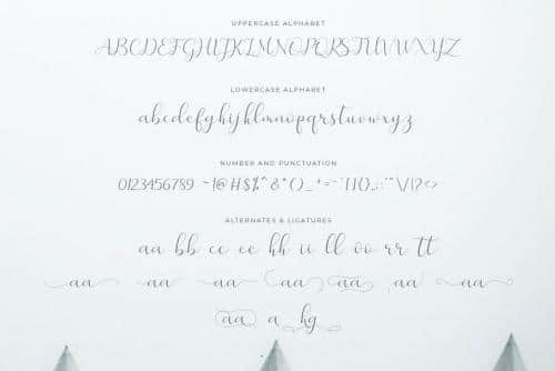 Merlin Script Font