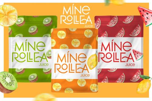 Meroche Sans Font Family
