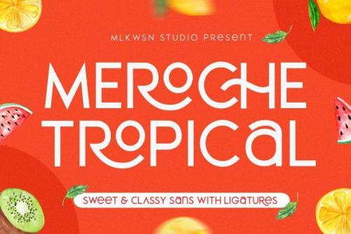 Meroche Sans Font Family