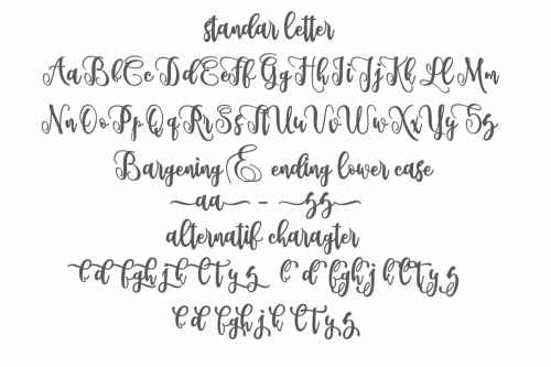 Metric Calligraphy Font