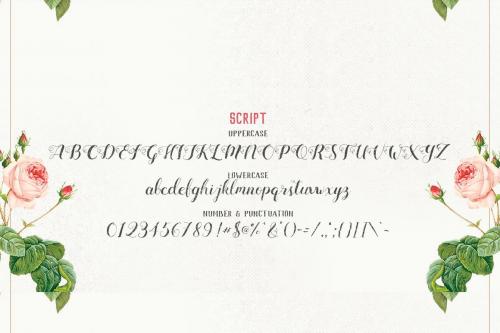 Mightype Font