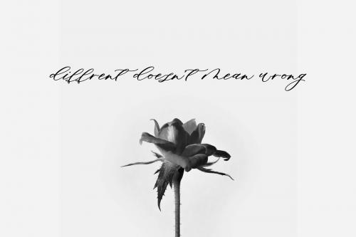 Minimalist Script Font