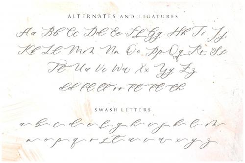 Minimalist Script Font