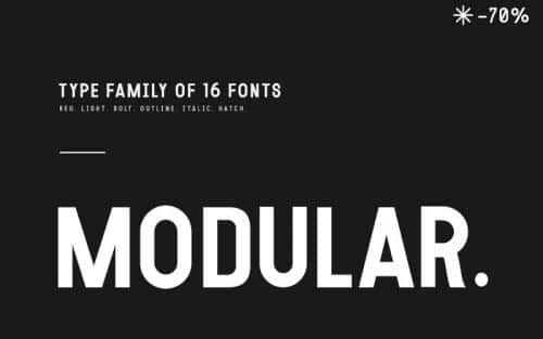 Modular Type Family